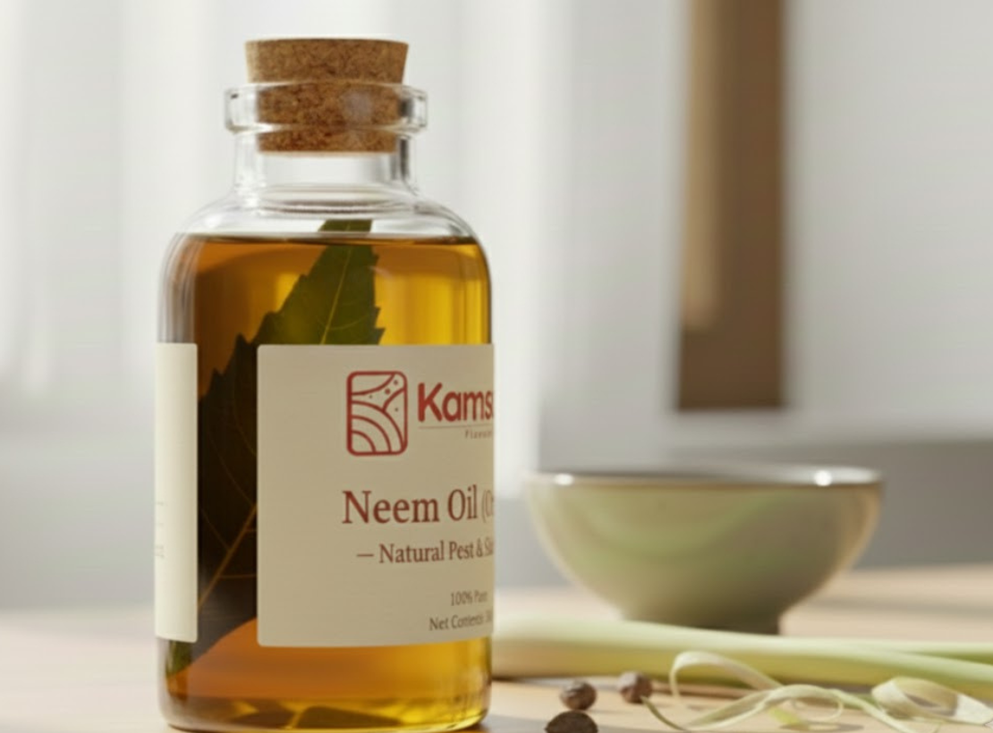 Untitled design - 2025-12-15T144343.634