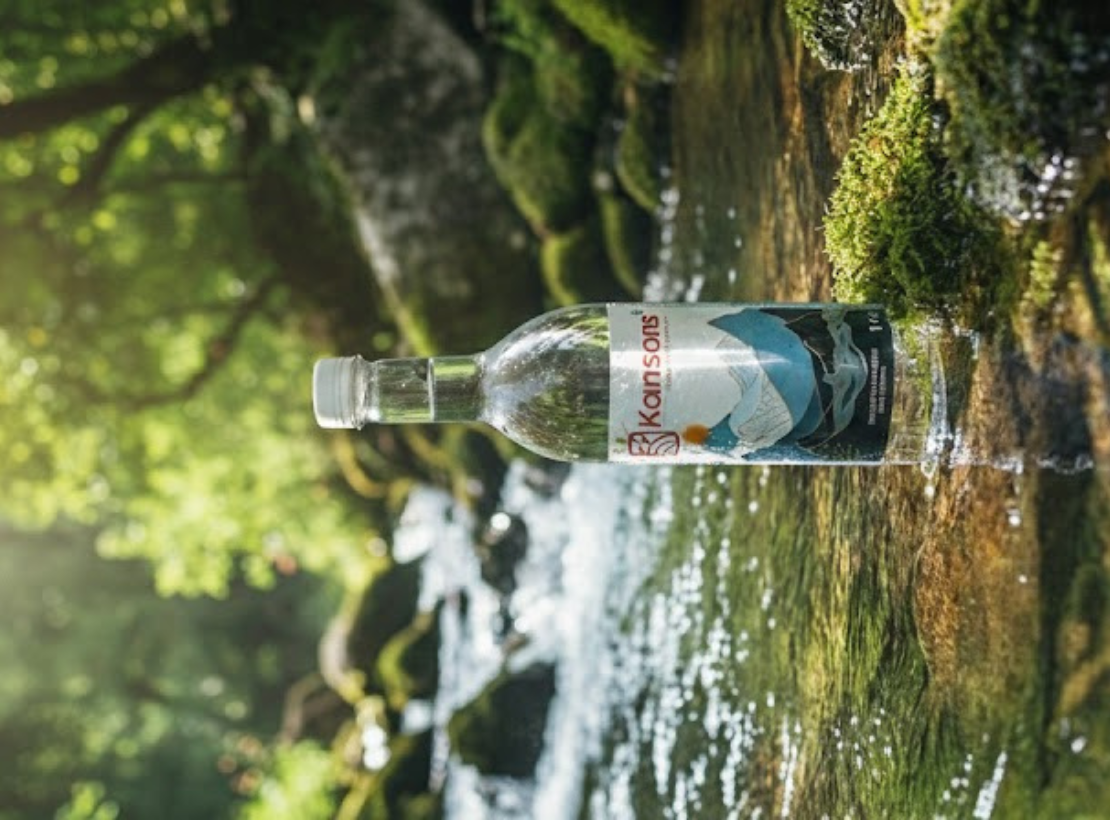 Untitled design - 2025-12-19T101434.804