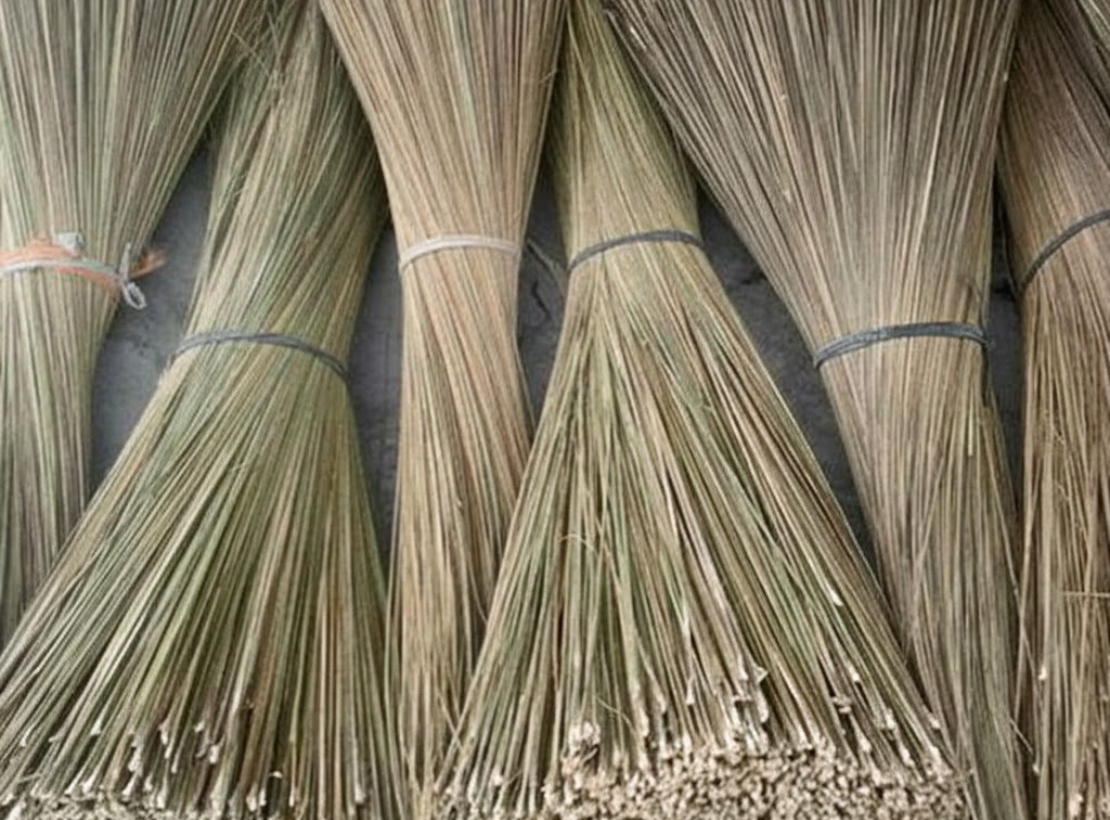 Untitled design - 2025-12-19T112449.839