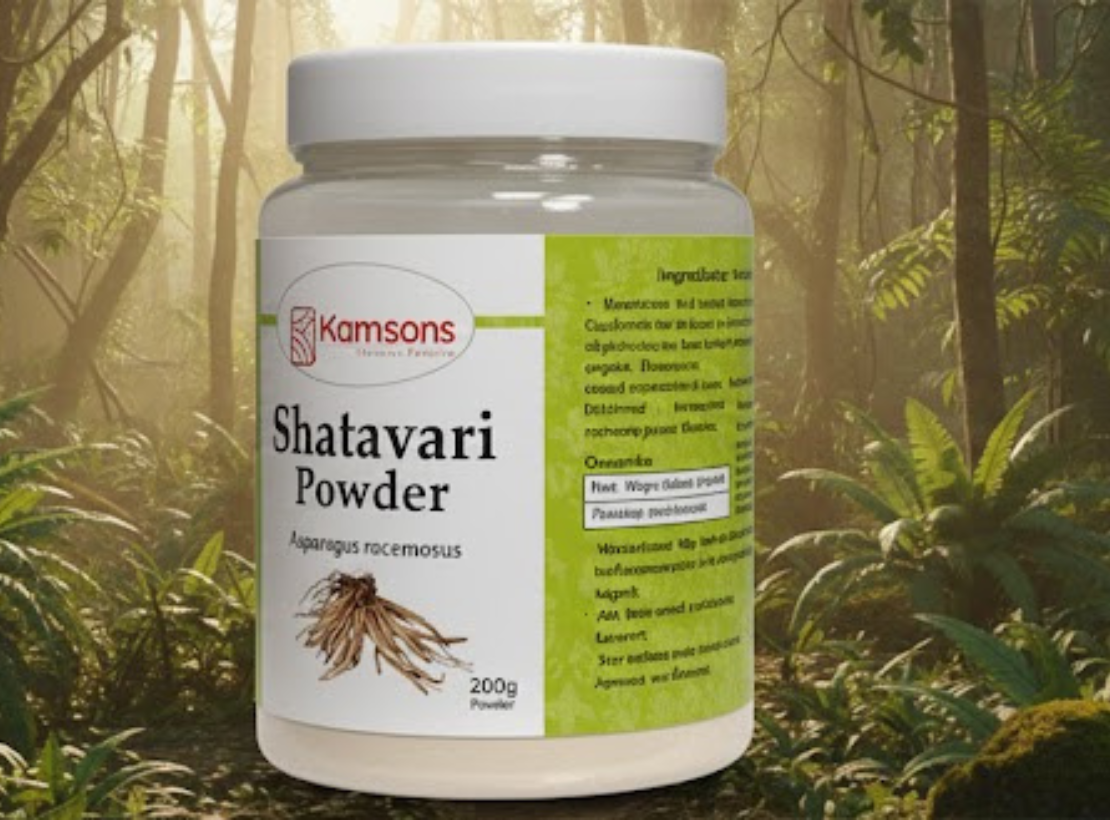 Untitled design - 2025-12-20T144828.239